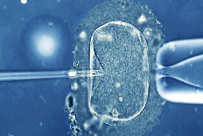 Περιγραφ: Να μθοδος για περισστερη επιτυχα στην εξωσωματικ γονιμοποηση