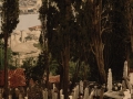 16 the Eyoub cemetery in Constantinople, between 1890 and 1900