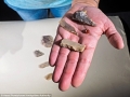 314F203B00000578-3450801-Archaeologists_found_flint_blades_and_a_polished_stone_axe_pictu-a-19_1455705306092